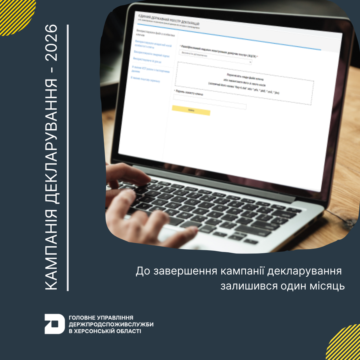 До завершення кампанії декларування-2026 залишився один місяць