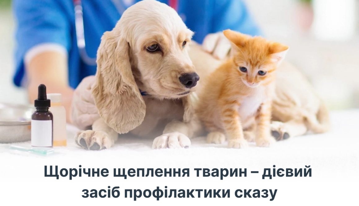 Щорічне щеплення тварин – дієвий засіб профілактики сказу