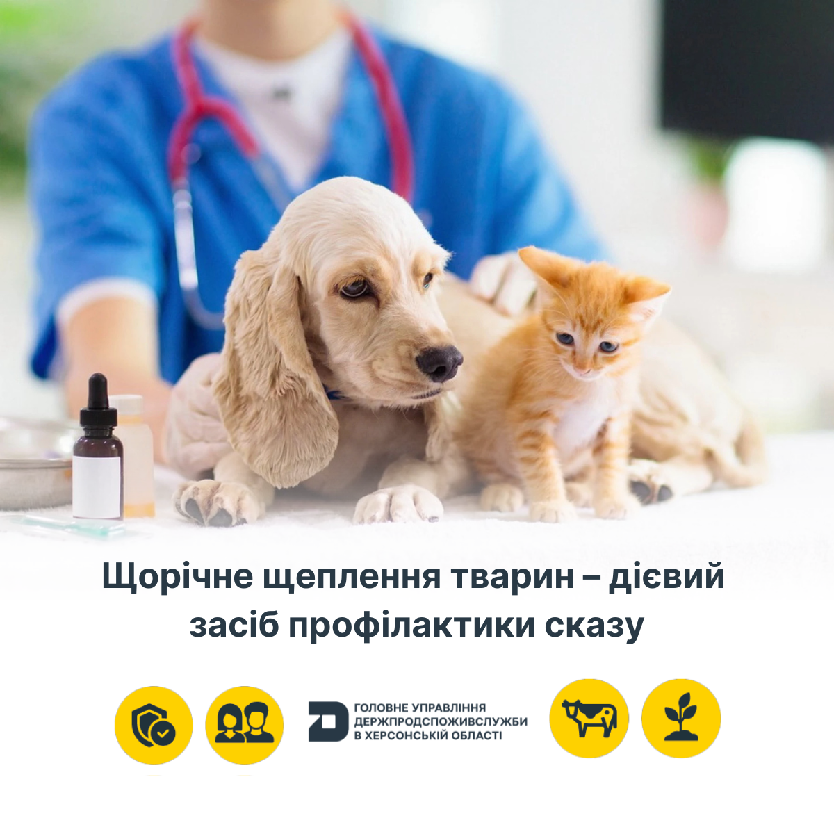 Щорічне щеплення тварин – дієвий засіб профілактики сказу