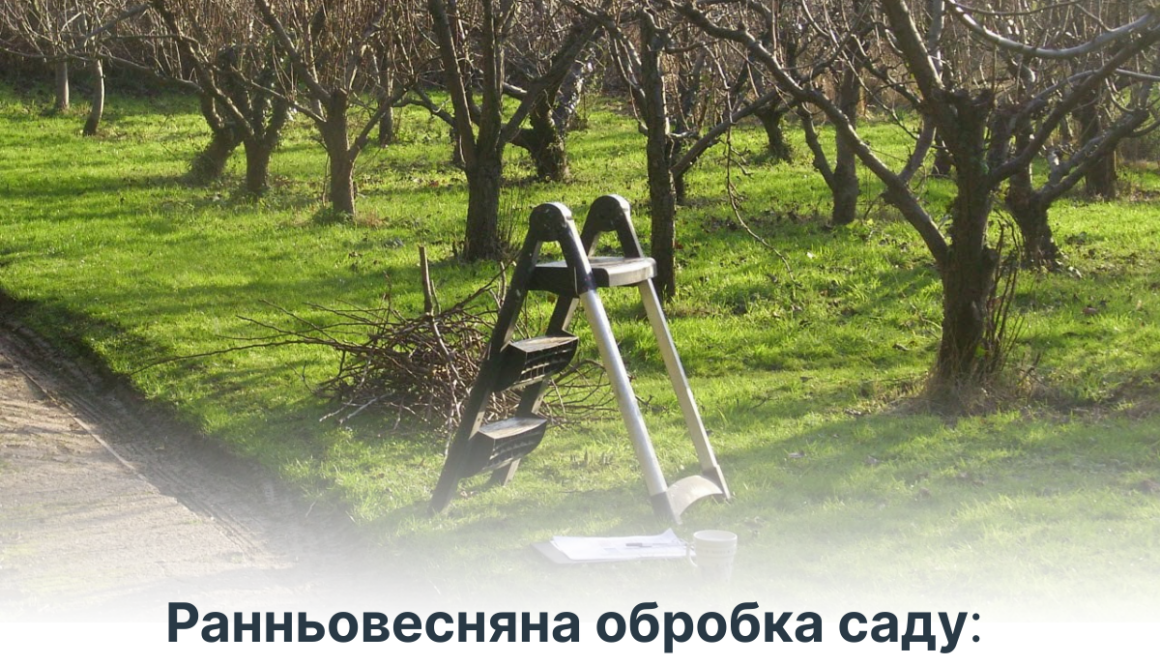 Ранньовесняна обробка саду: що потрібно знати