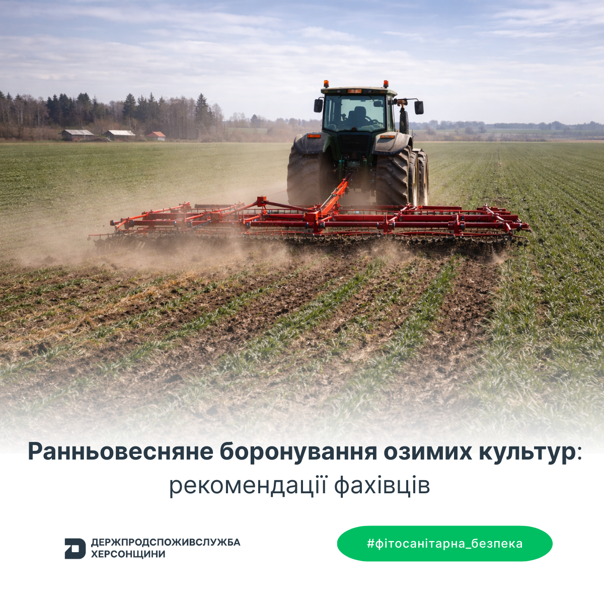 Ранньовесняне боронування озимих культур: рекомендації фахівців