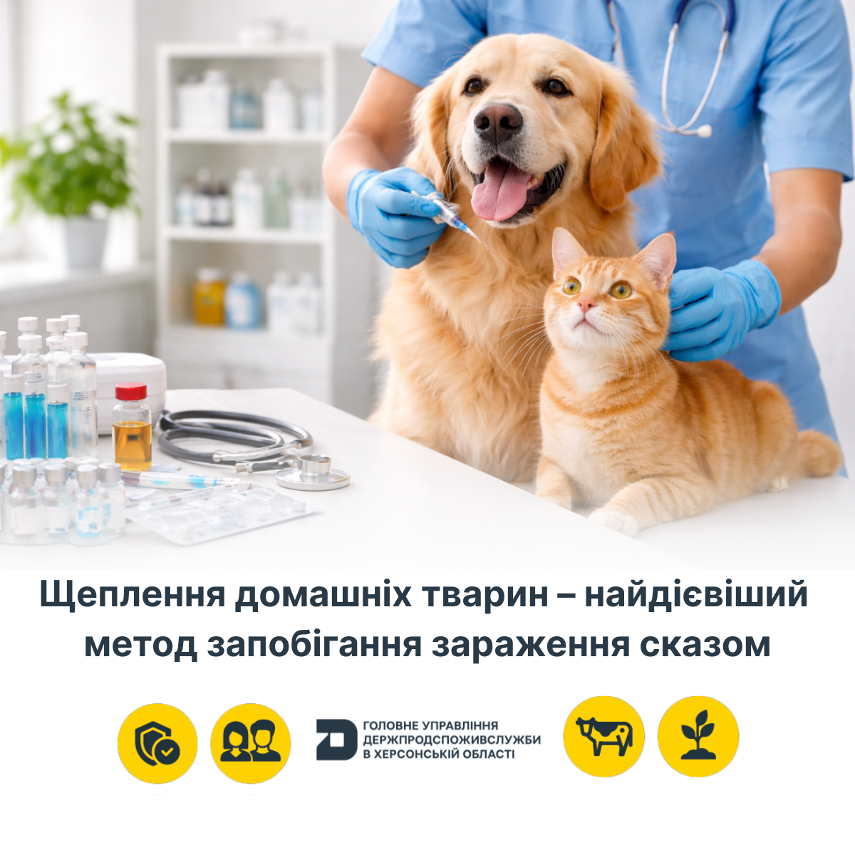 Щеплення домашніх тварин – найдієвіший метод запобігання зараження сказом