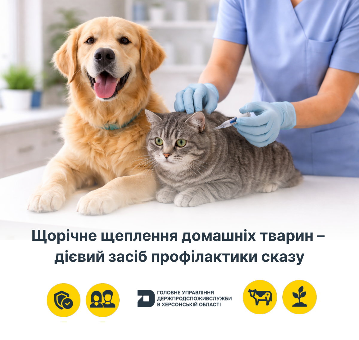 Щорічне щеплення домашніх тварин – дієвий засіб профілактики сказу