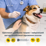 На Херсонщині триває профілактика сказу тварин