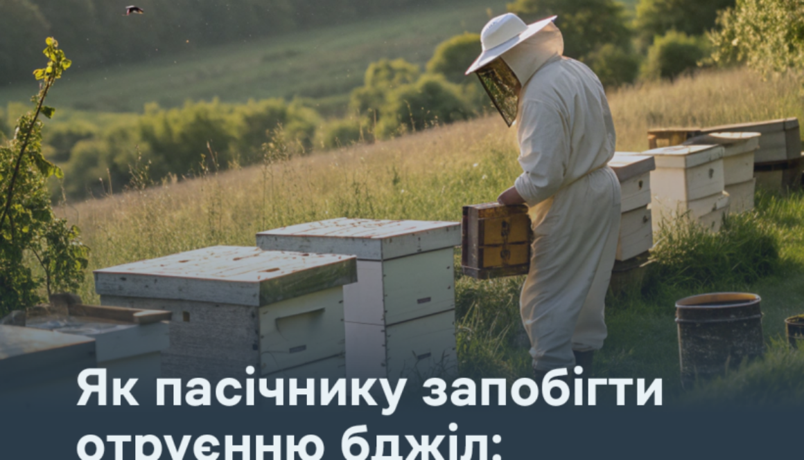 Як пасічнику запобігти отруєнню бджіл: простий алгоритм дій