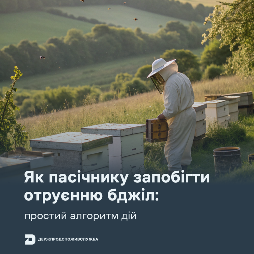 Як пасічнику запобігти отруєнню бджіл: простий алгоритм дій