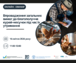 Як впровадити нові вимоги до благополуччя курей-несучок: запрошуємо на онлайн-семінар 16 квітня