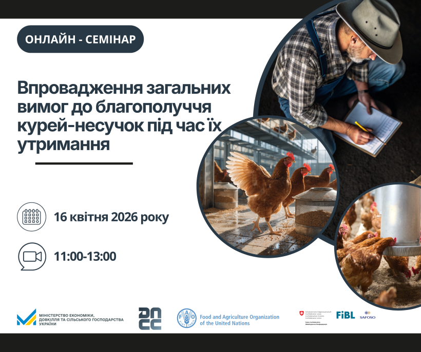 Як впровадити нові вимоги до благополуччя курей-несучок: запрошуємо на онлайн-семінар 16 квітня