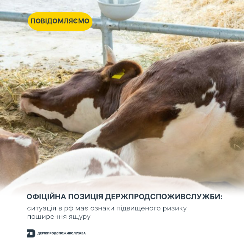 Офіційна позиція Держпродспоживслужби: ситуація в рф має ознаки підвищеного ризику поширення ящуру