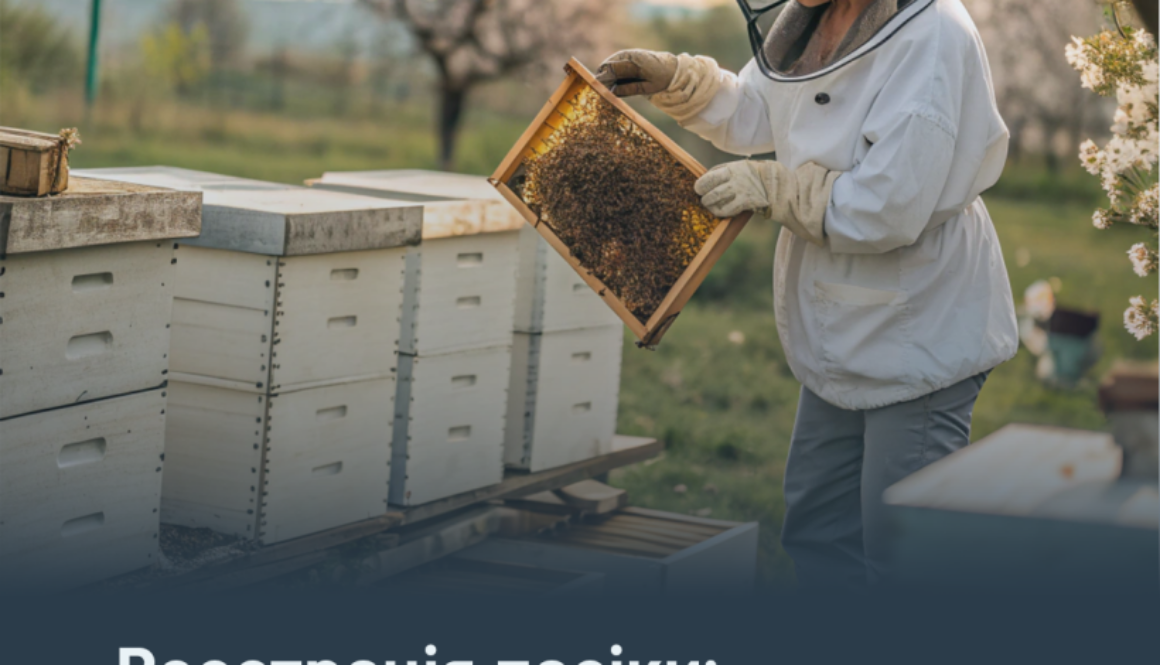 Реєстрація пасіки: що потрібно знати пасічнику