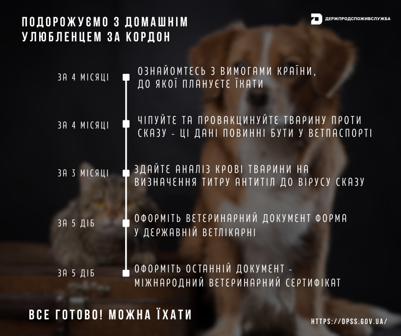 Чек-лист для подорожі з домашнім улюбленцем за кордон