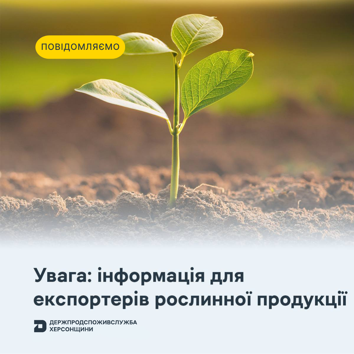 До уваги експортерів рослинної продукції