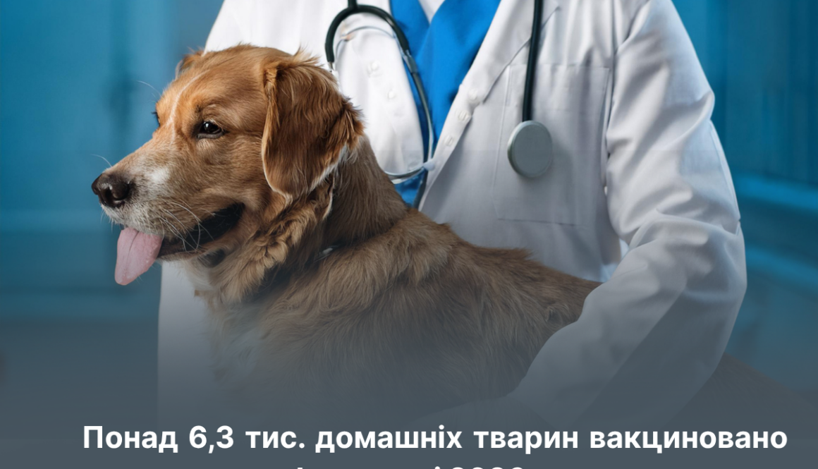 Профілактика сказу: понад 6,3 тис. домашніх тварин вакциновано у І кварталі 2026 року