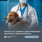 Профілактика сказу: понад 6,3 тис. домашніх тварин вакциновано у І кварталі 2026 року