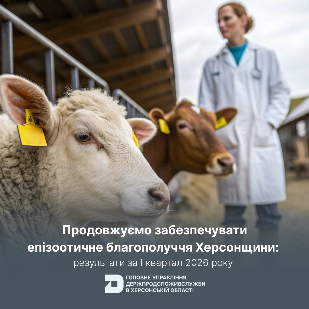Продовжуємо забезпечувати епізоотичне благополуччя Херсонщини: результати за І квартал 2026 року