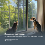 Профілактика сказу: за тиждень вакциновано понад 500 домашніх тварин