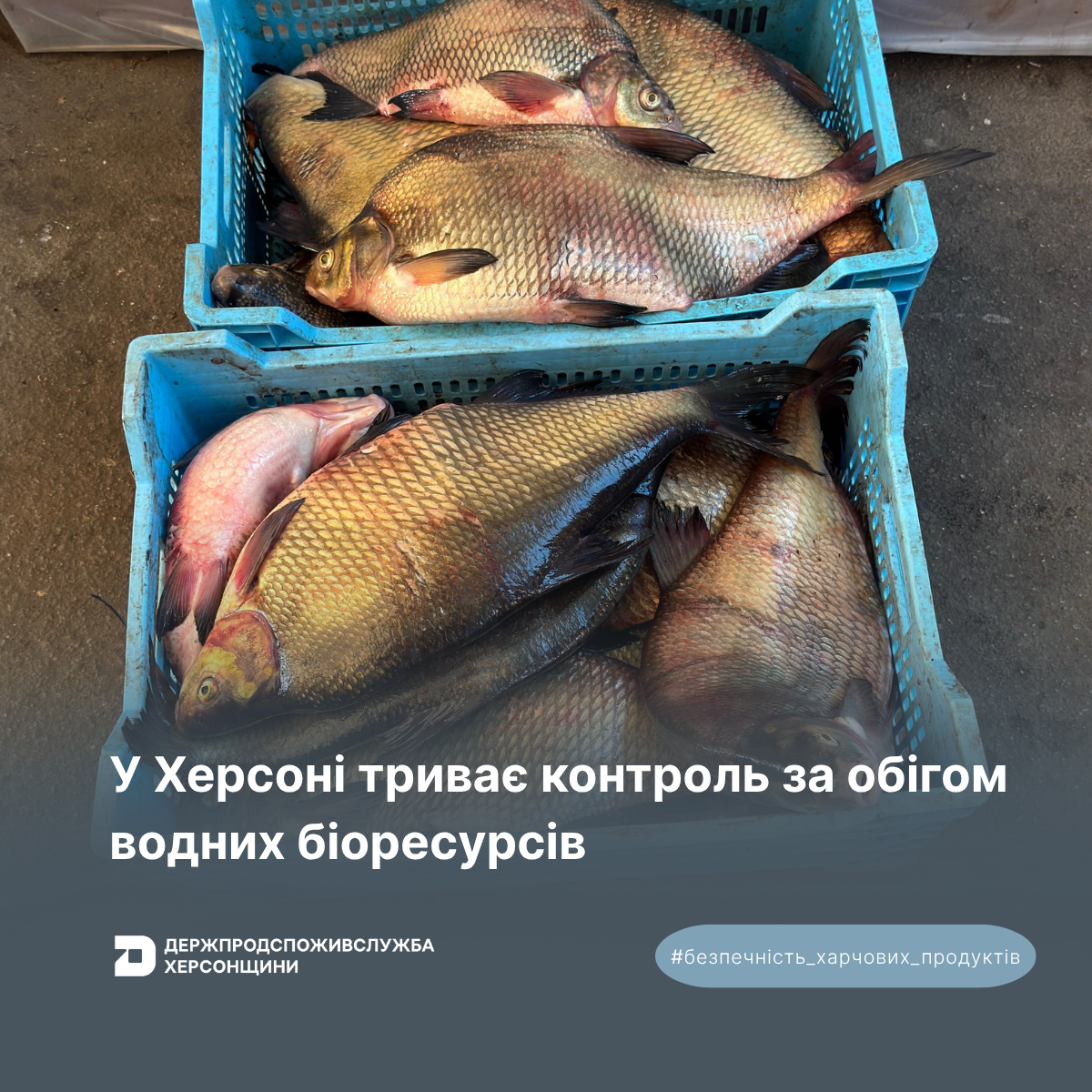 У Херсоні триває контроль за обігом водних біоресурсів