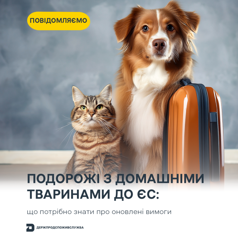 Переміщення домашніх тварин до ЄС: оновлення процедур