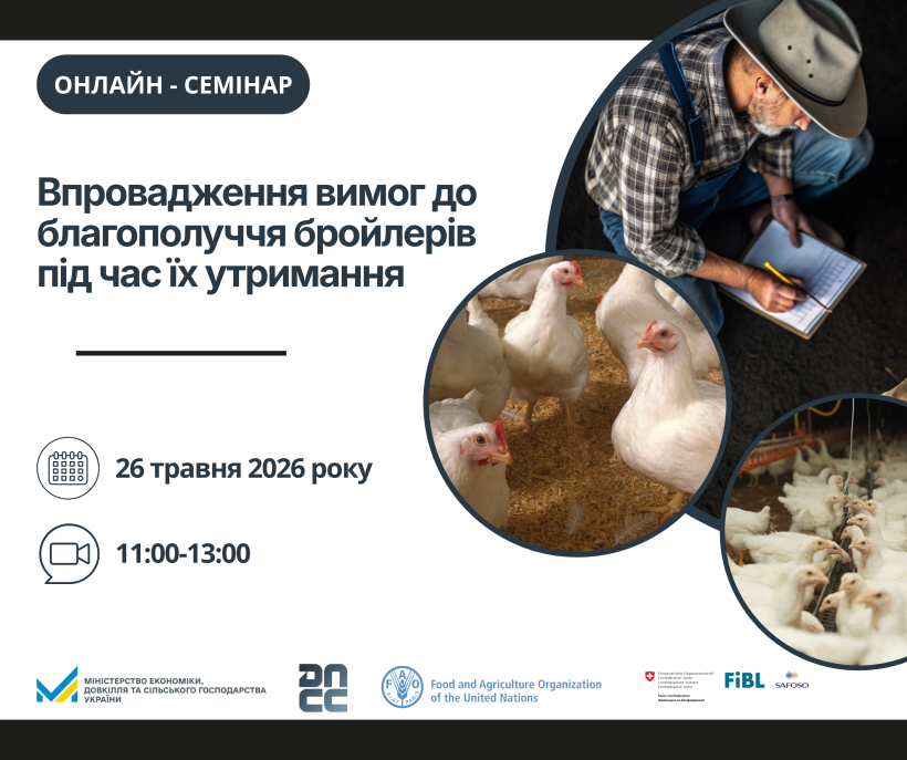 Вимоги до благополуччя бройлерів: практичні аспекти для операторів ринку