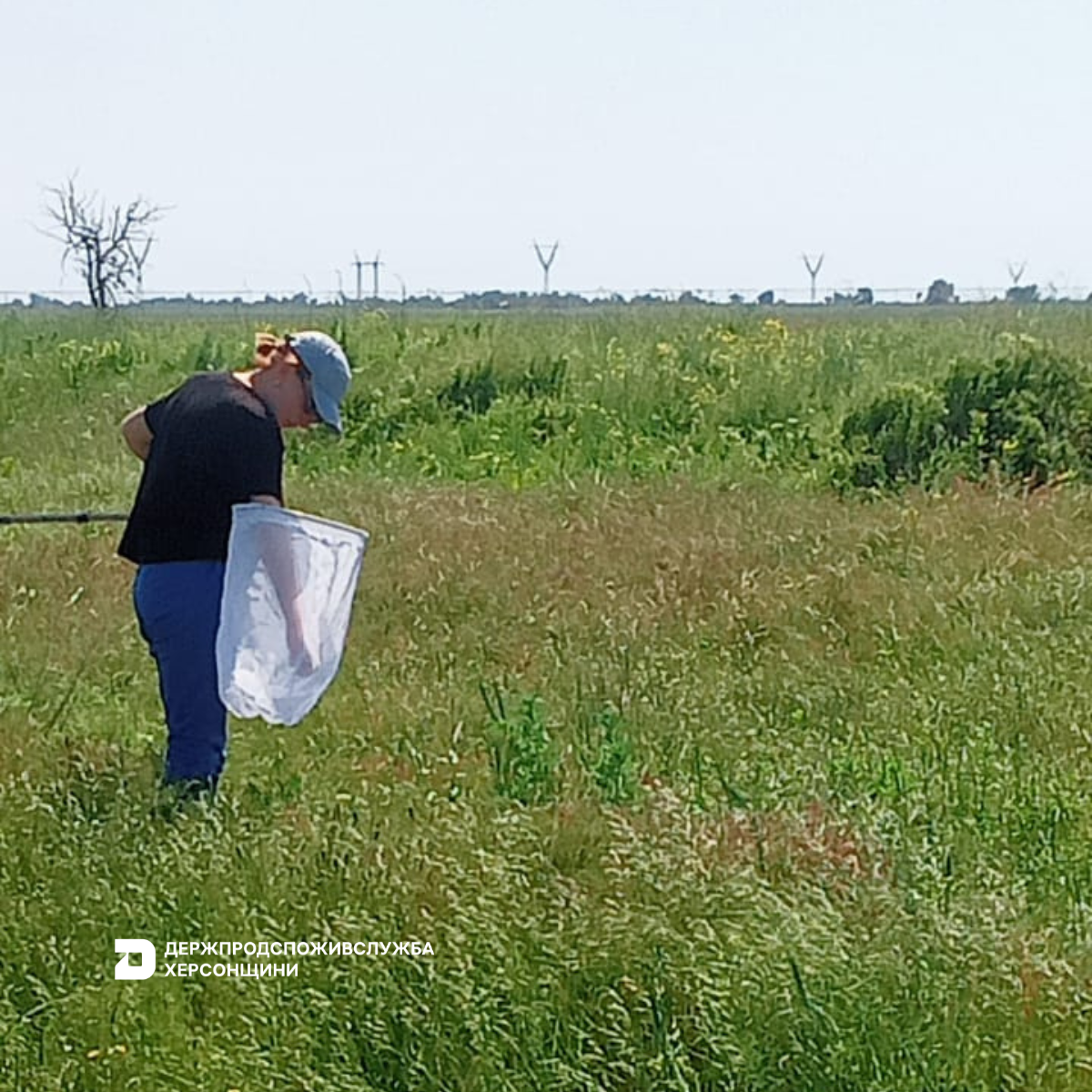 Держпродспоживслужба Херсонщини нагадує щодо важливості моніторингу сільгоспугідь