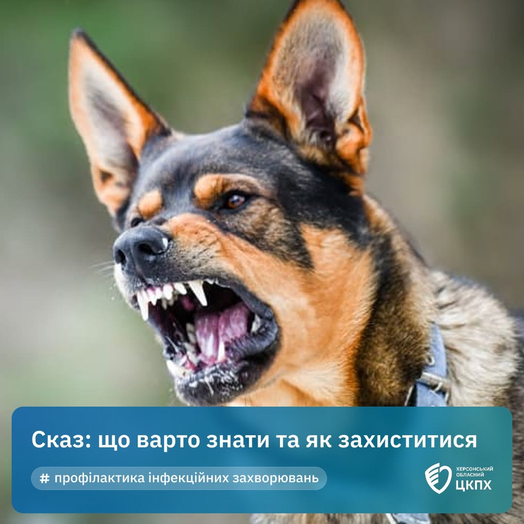 Сказ: що варто знати та як захиститися