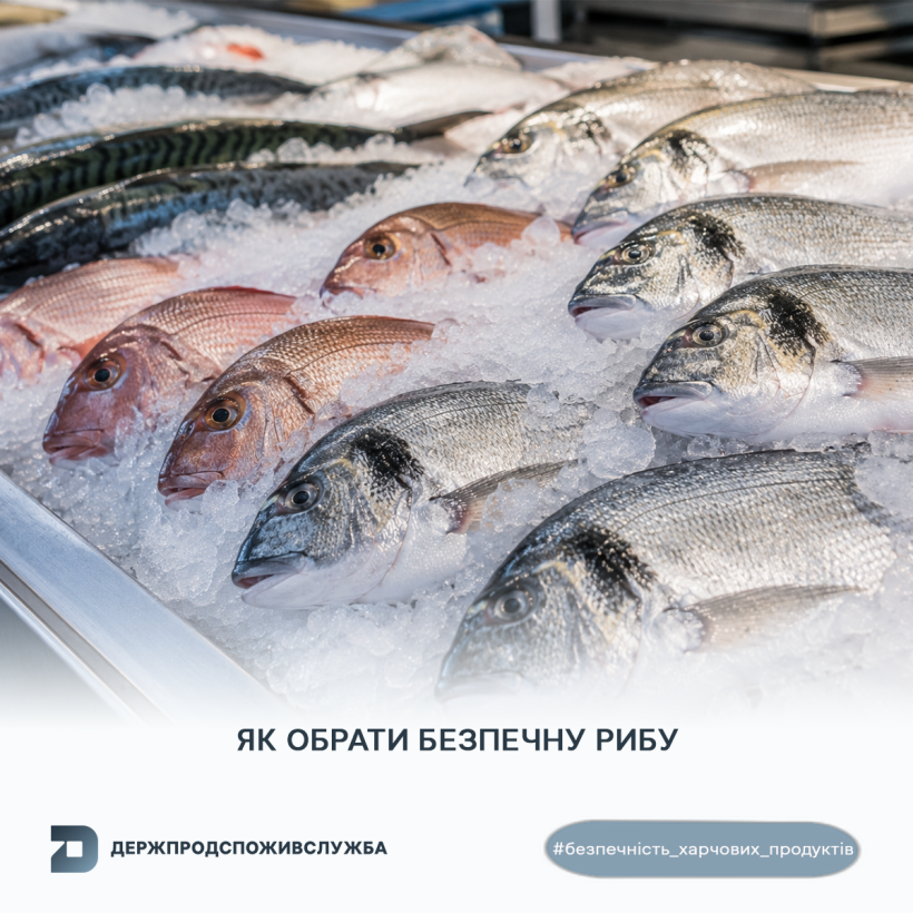 Безпечність харчових продуктів: що варто знати споживачам про безпечність рибних продуктів