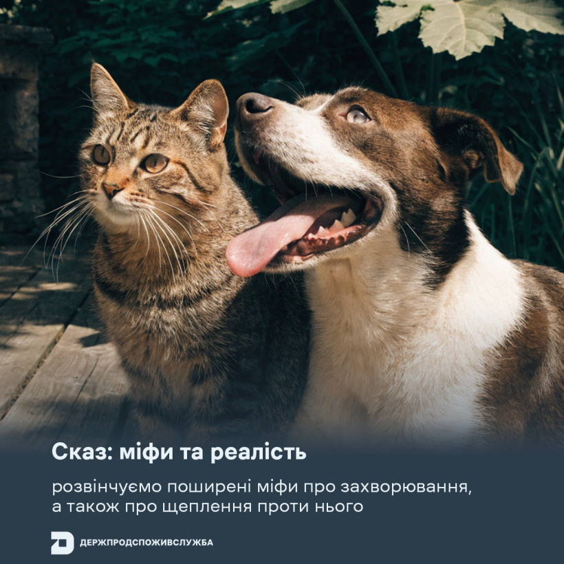 Сказ: міфи та реальність