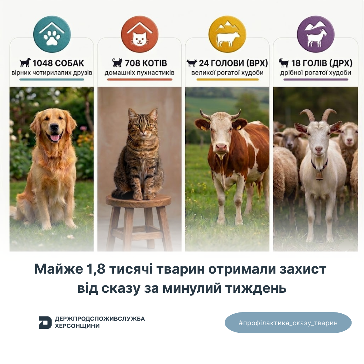 Майже 1,8 тисячі тварин отримали захист від сказу за минулий тиждень