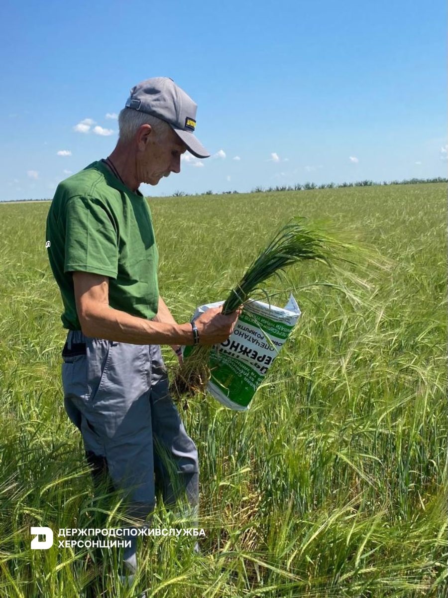 Курс на експорт до КНР: фітосанітарне обстеження посівів ячменю