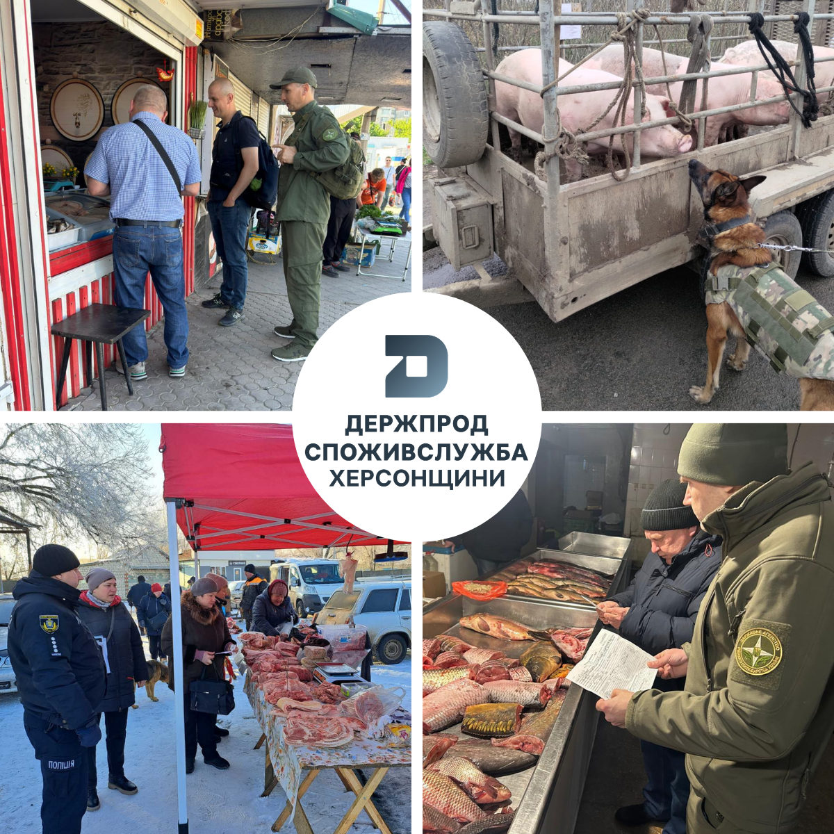 Реалізація державної політики у сфері безпечності харчових продуктів та ветеринарної медицини: результати за перше півріччя 2026 року