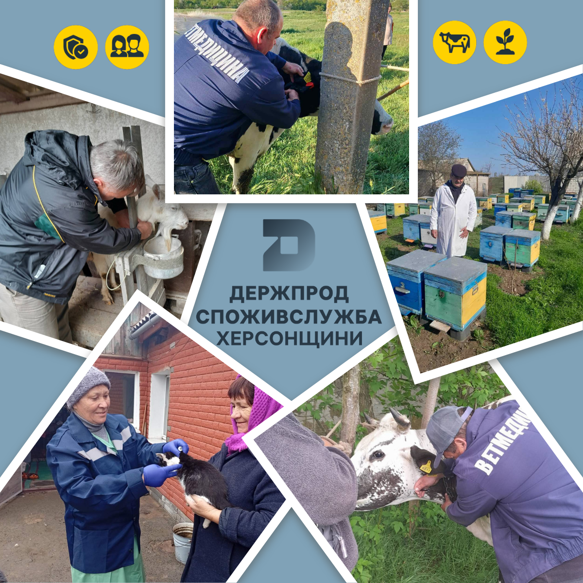 Продовжуємо забезпечувати епізоотичне благополуччя Херсонщини: результати за перше півріччя 2026 року