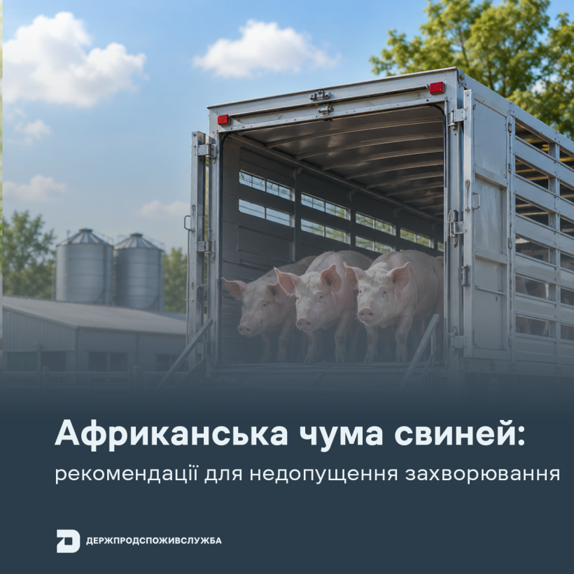 АЧС: рекомендації для недопущення захворювання
