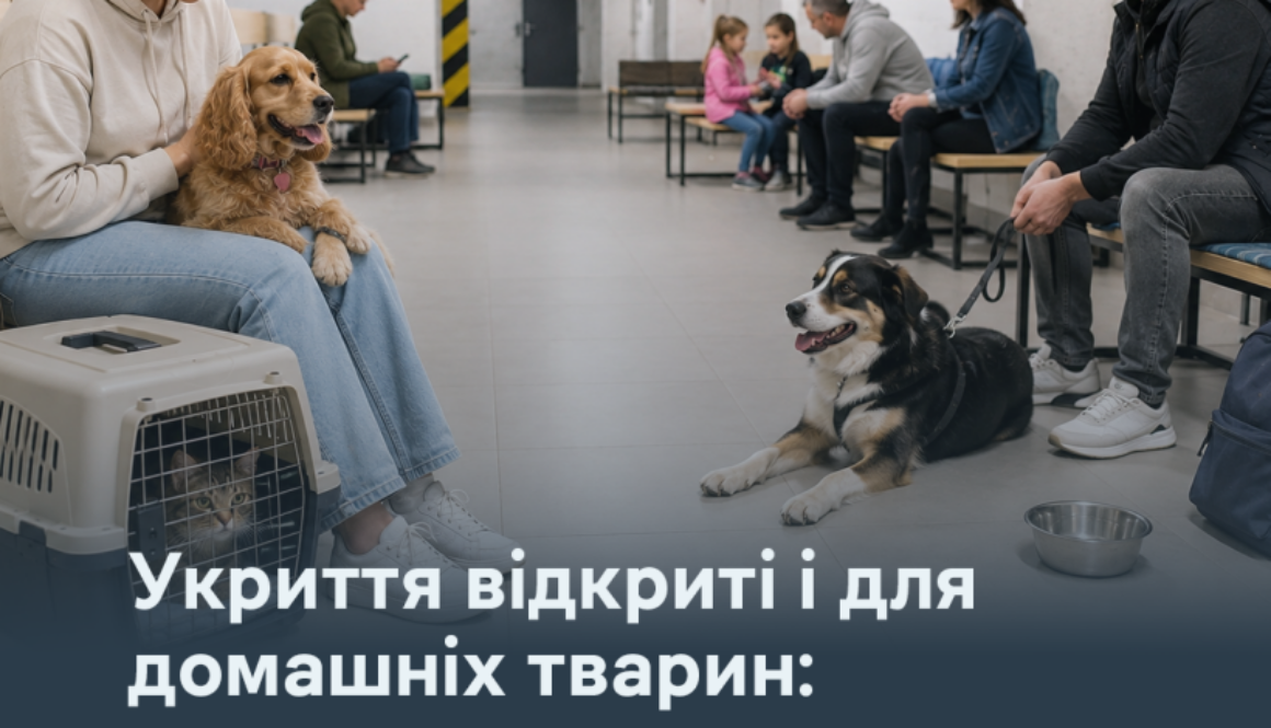Укриття відкриті і для домашніх тварин: що передбачає законодавство