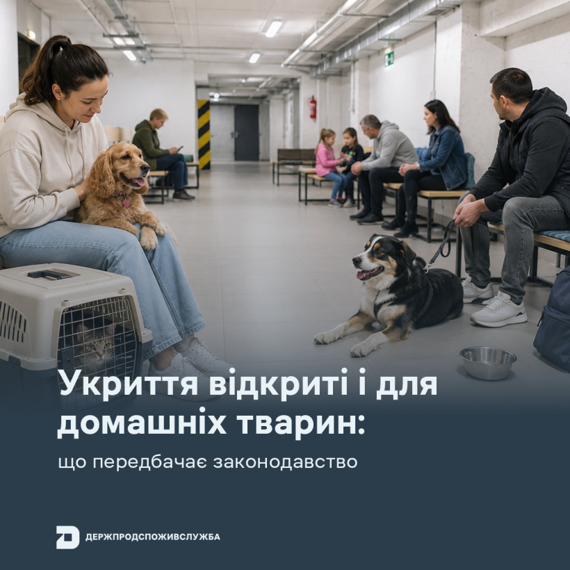 Укриття відкриті і для домашніх тварин: що передбачає законодавство