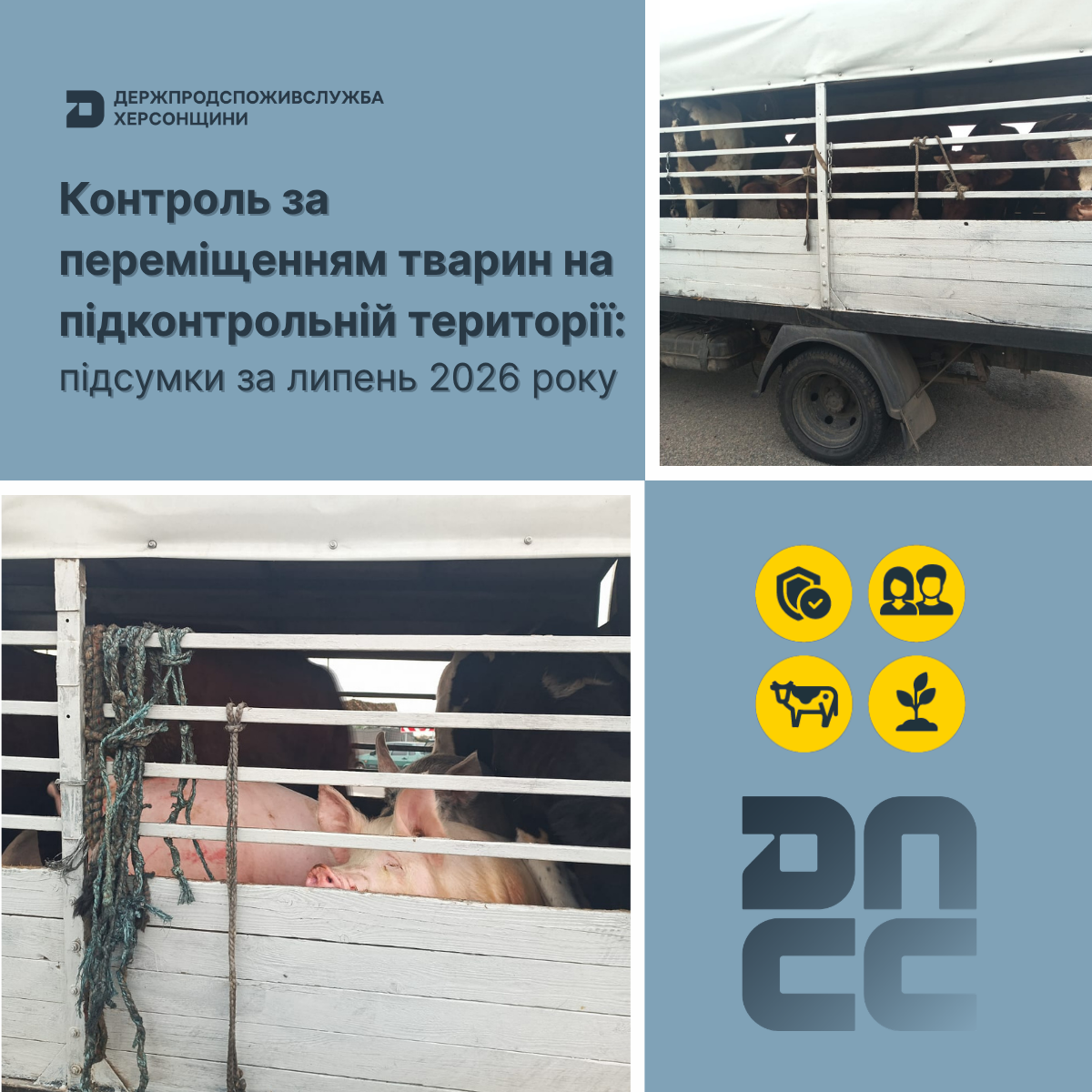 Контроль за переміщенням тварин на підконтрольній території: підсумки за липень 2026 року