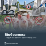 Біобезпека — надійний захист свиней від АЧС